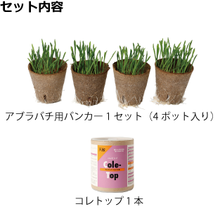 画像をギャラリービューアに読み込む, アブラバチ用バンカー＆コレトップセット
