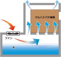 画像をギャラリービューアに読み込む, アグリ・トップまるはな冷すばこ
